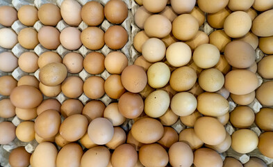 Brown eggs displayed in a supermarket on a black tray with green produce in the background.	
