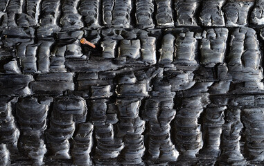 Burnt wooden Board texture, banner.