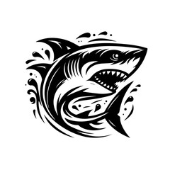 A fierce shark with its mouth open and teeth bared surrounded by splashing water