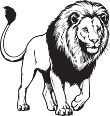 Fototapeta premium Walking lion with long curved tail and fluffy mane, outlined in clean black ink, hand-drawn illustration style.
