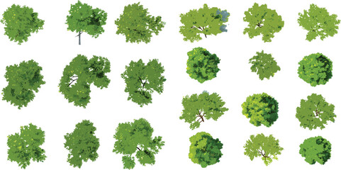Overhead watercolor illustrations of twelve lush green trees with varied canopies arranged in a grid on a white background

