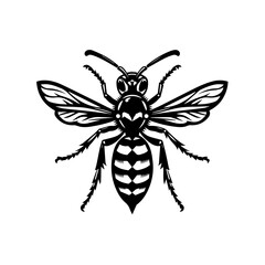 Obraz premium A detailed black and white illustration of a wasp isolated on white background