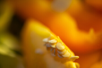 A vibrant kitchen scene of a woman slicing cucumbers, lettuce, and other vegetables, capturing the freshness and healthiness of a homemade salad in progress.