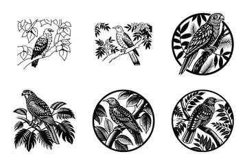 Birds svg