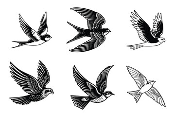 Obraz premium Birds svg