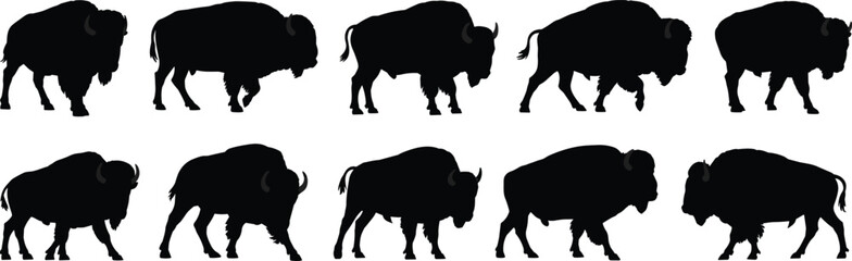 Buffalo silhouette collection, wild bison animal vector bundle, American prairie wildlife clipart set, cad drawing flat vector illustration