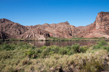 Fototapeta premium Vivid Landscape of National Park in Arizona Showcasing the Serene River