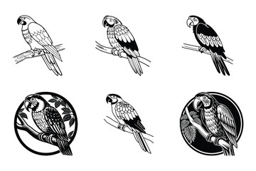Fototapeta premium Birds svg
