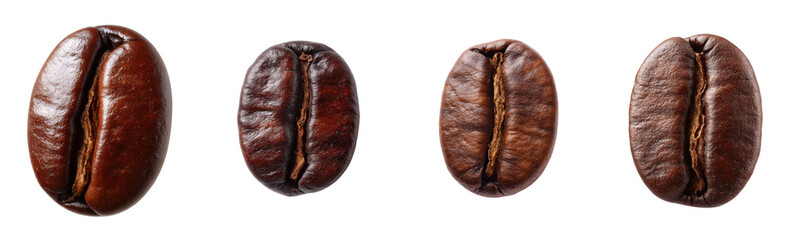 Four coffee beans in a row, studio shot. Roasted, aromatic, ingredient, caffeine, brew, espresso