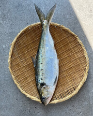 Fresh herring displayed on a bamboo plate.