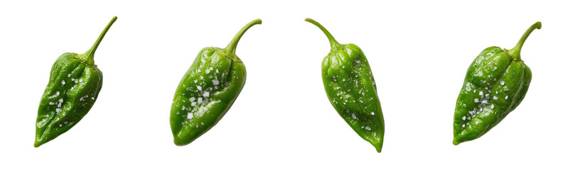 Pimientos de Padr&oacute;n peppers with coarse salt seasoning. Gourmet cooking, organic food, Spanish cuisine, healthy eating, restaurant appetizer, food photography.