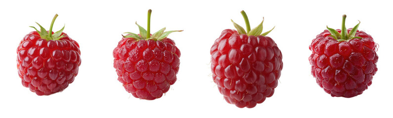 Four raspberries aligned in a row. Fruit, freshness, healthy, food, vitamin, summer.