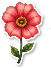 red flower isolated on white