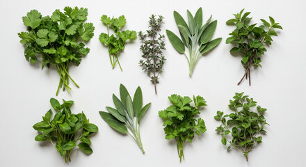 Naklejka premium Fresh herbs display on white background