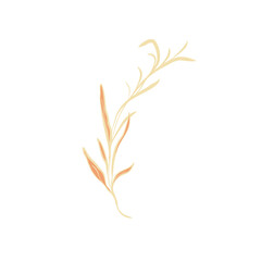 Delicate Botanical Branch Illustration in Soft Gold Tones