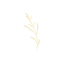 Minimalist Golden Branch Illustration on White