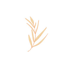 Watercolor Golden Leaf Branch on White Background