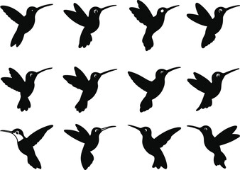 Obraz premium Collection of Hummingbird Silhouettes Vector Design