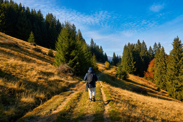 Fototapeta premium Man hiker with backpack walking through forest in Carpathian mountains enjoying river view.