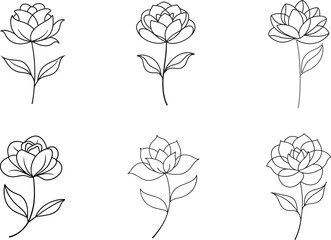 Elegant line art flower set for floral design projects and minimalist style invitations and wedding decorations