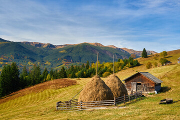 autumn afternoon in mountains. trees on the edge of a hill in fall colors. wonderful countryside of...