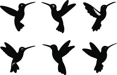 Hummingbird Silhouette Vector Collection of Flying Birds with Various Wing Poses 