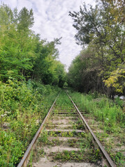 An abandoned rail road leading into a dense forest. A mystical photo with a cloudy sky and a dark road. Old tram tracks in the city limits, overgrown with wild plants and forest.