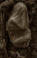 Woman in fetal position among tree roots  symbolizing connection with nature and rebirth.