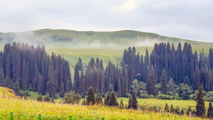 landscape with fog