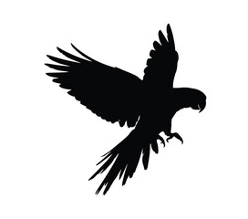 Black silhouette of a parrot in flight bird white background