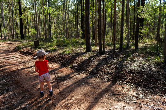 Hiking trail through australian bushland of a national park and child with walking stick - Powered by Adobe
