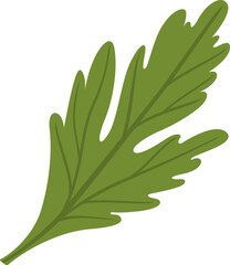 Parsley leaf, a common culinary herb, displays its vibrant green color and intricate texture, adding a touch of freshness to any dish or design
