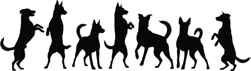 Silhouette of dogs standing on hind legs, playful canine behavior, black and white image, pet training moment, animal pose expression