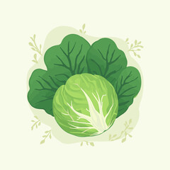 Fresh, healthy green cabbage head with dewy leaves, isolated on white, a raw garden vegetable perfect for a vegetarian salad