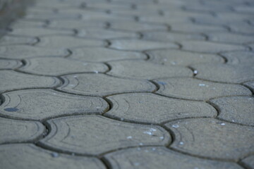 Obraz premium textured surface of gray concrete paving tiles, hexagonal interlocking sidewalk pattern, urban pavement background with joints and small debris, outdoor city structure