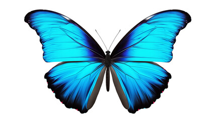 Fototapeta premium Stunning vibrant blue morpho butterfly with intricate wing details, perfect for nature and beauty projects isolated on white or transparent png. 
