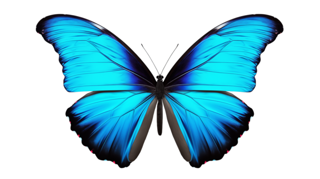 Stunning vibrant blue morpho butterfly with intricate wing details, perfect for nature and beauty projects isolated on white or transparent png. 