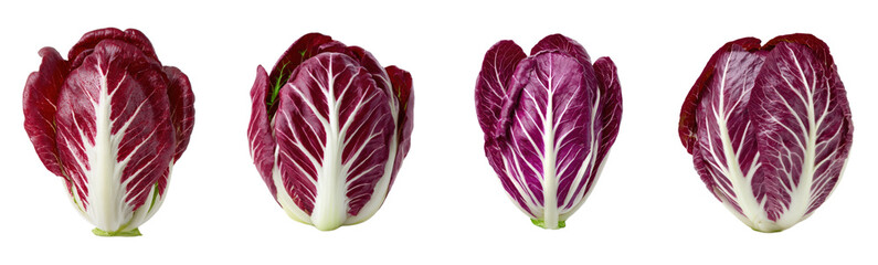 Radicchio heads in a row on white. Fresh salad, raw food, vegetables, cooking, healthy eating, vegetarian, produce