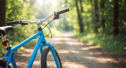 Naklejka premium Blue mountain bike on the road in the forest, close-up