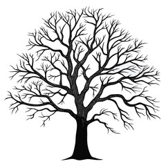 Obraz premium Black Silhouette of a Bare Deciduous Tree on White Background