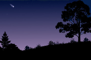 Nightscape Vector Illustration Silhouette of Trees and Hill Under a Starry Sky with Comet