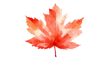 Vibrant watercolor red maple leaf illustration, hand-painted and isolated on transparent background. Ideal for seasonal themes, autumn decor, eco-friendly branding, and botanical art.