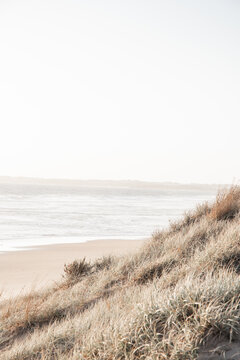 Vertical image of sand dune and grasses with ocean in background at sunset