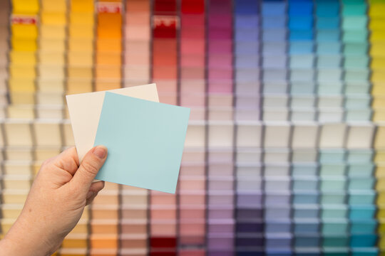 choosing paint colour cards in a hardware store