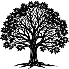 Obraz premium Bare Tree Shadow Art