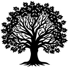 Fototapeta premium Bare Tree Shadow Art