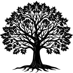 Obraz premium Bare Tree Shadow Art