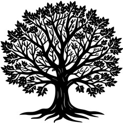 Obraz premium Bare Tree Shadow Art