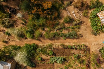 Top-down farm view with diverse crops and garden beds, illustrating permaculture layout, sustainability, and ecological food cultivation methods.