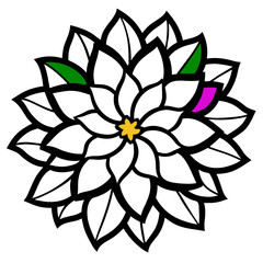 black and white flower